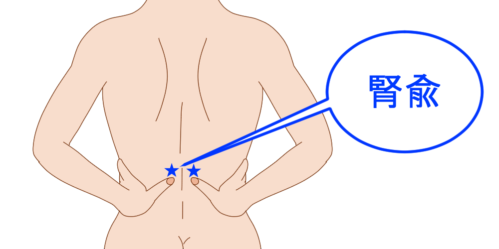 腰痛とツボの関係性 腰痛に効果的なツボを紹介 Tential テンシャル 公式オンラインストア