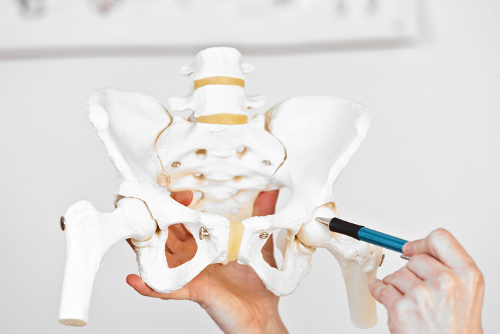 骨盤の歪みが腰痛の原因に ぽっこりお腹の原因 反り腰 についても解説 Tential テンシャル 公式オンラインストア