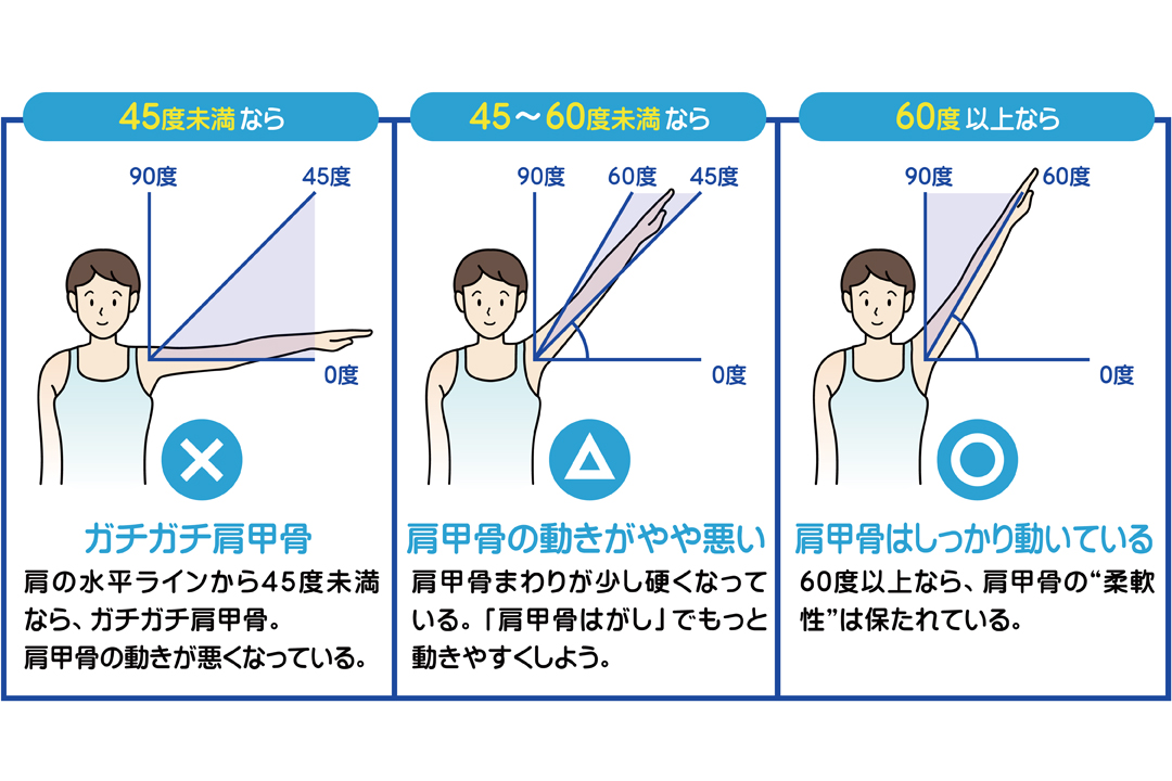 肩こりと肩甲骨の関係性について 肩甲骨はがしで肩こりを解消しよう Tential テンシャル 公式オンラインストア