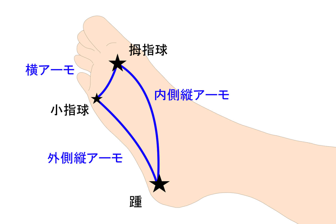 シンスプリントの原因とは 足裏とのかかわりも解説 Tential テンシャル 公式オンラインストア