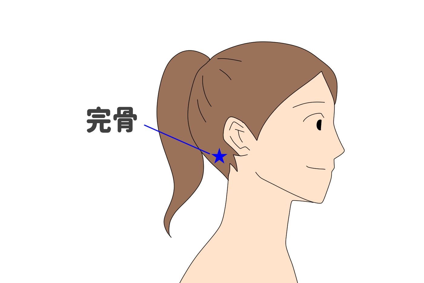 睡眠不足に効果的なツボとは ツボを押して寝不足を解消しよう Tential テンシャル 公式オンラインストア