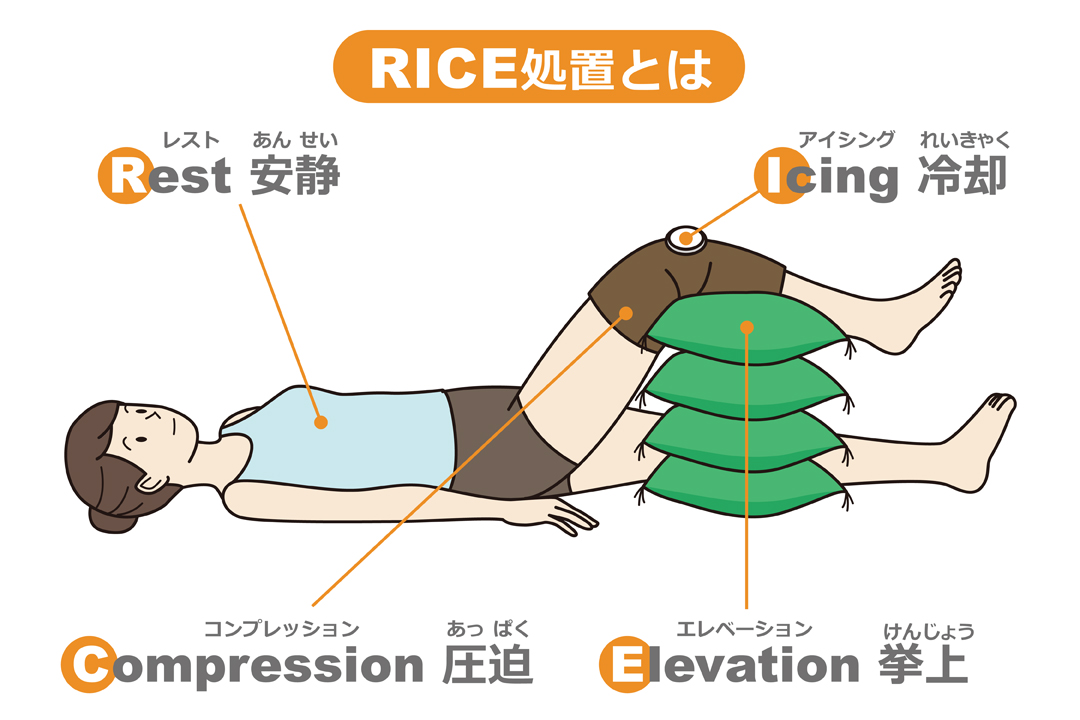 肉離れのリハビリについて解説 ストレッチ 筋力トレーニングなど Tential テンシャル 公式オンラインストア