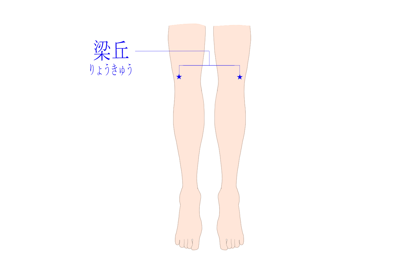 膝の痛みにツボ押しは効く 効果や具体的なツボを詳しく紹介 Tential テンシャル 公式オンラインストア