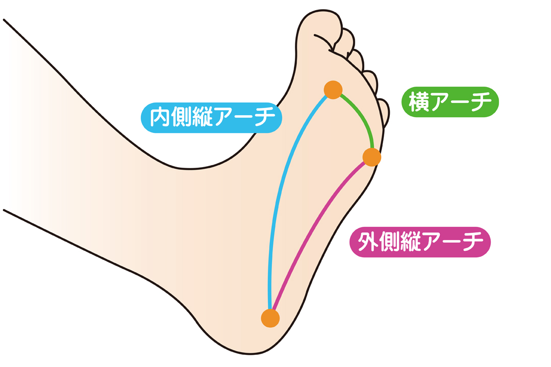 土踏まずの役割とは 土踏まずを取り戻す方法も詳しく解説 Tential テンシャル 公式オンラインストア